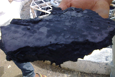 SHAHI EXPORTS